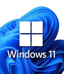 windows 11